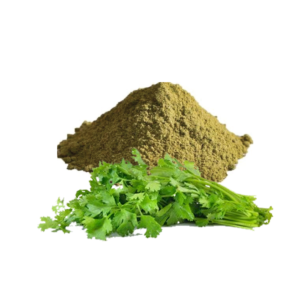 Coriander leaf powder