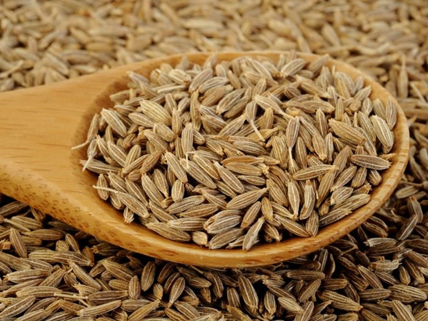 Cumin seeds