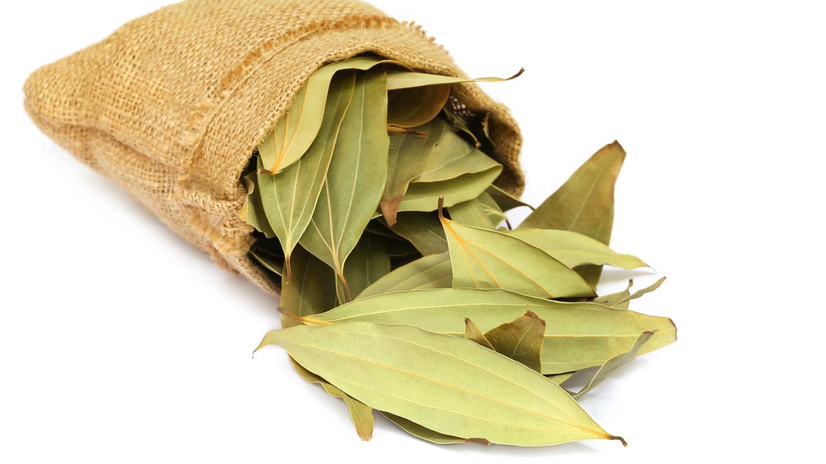 Bay leaves